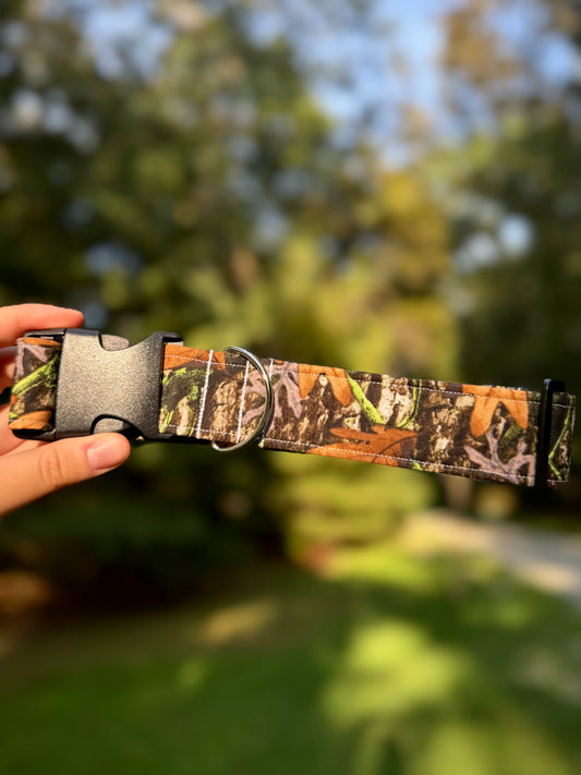 Into the Woods Large 1.5" Dog Collar