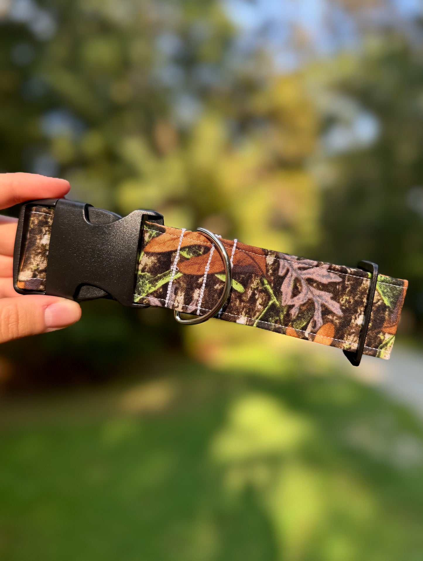 Into the Woods Medium 1.5" Dog Collar