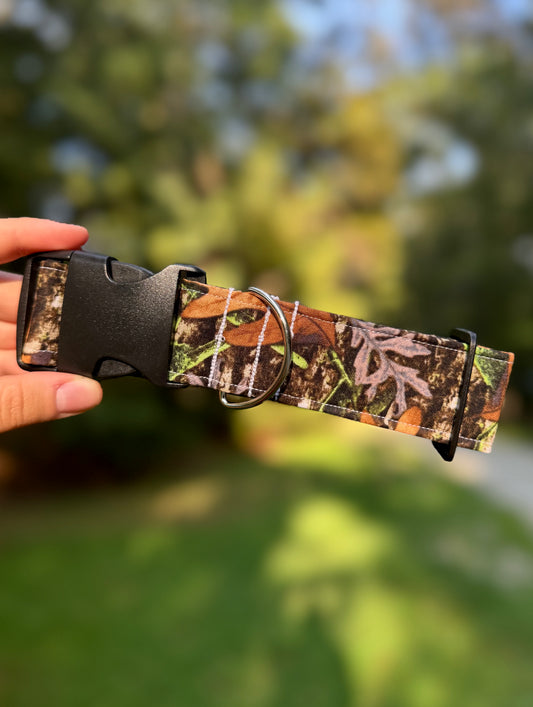 Into the Woods Medium 1.5" Dog Collar