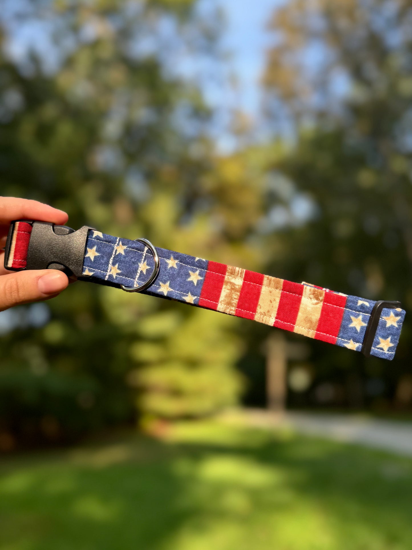 All American Large 1" Dog Collar