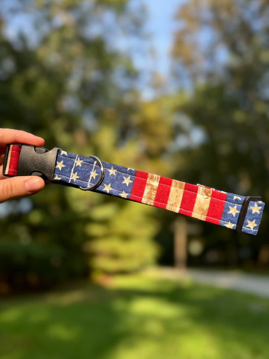 All American Large 1" Dog Collar