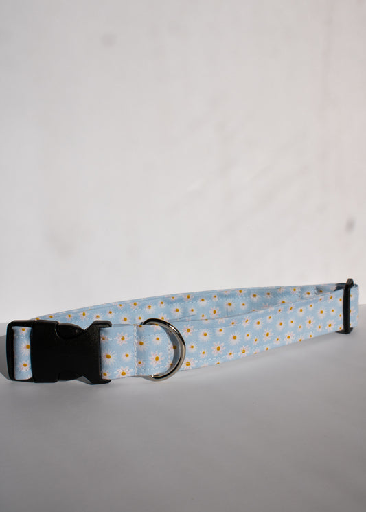 Blue Daisies Large 1" Dog Collar