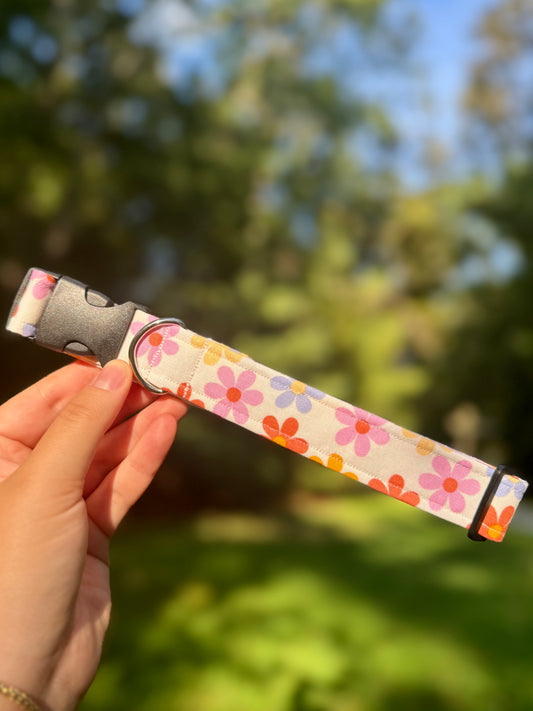 Flower Disco Large 1" Dog Collar