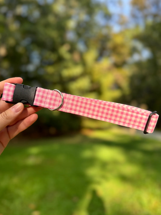 Sweetheart Large 1" Dog Collar