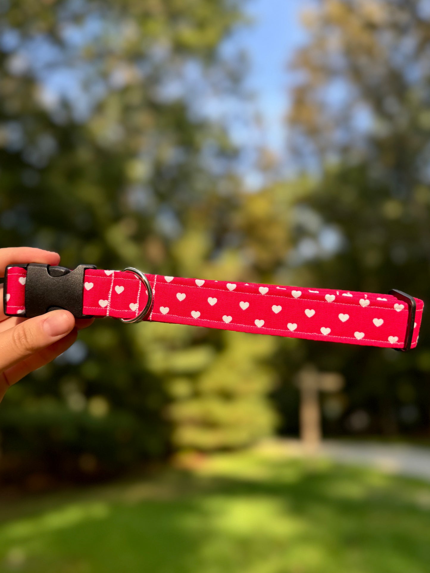 XOXO Large 1" Dog Collar