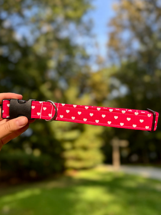 XOXO Large 1" Dog Collar