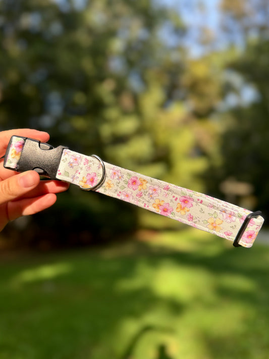 In Hawaii Large 1" Dog Collar