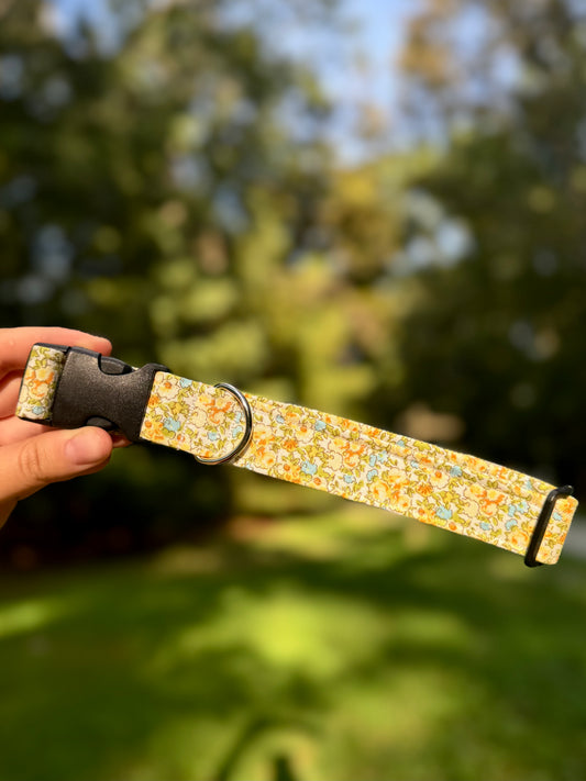 Screaming Spring Large 1" Dog Collar