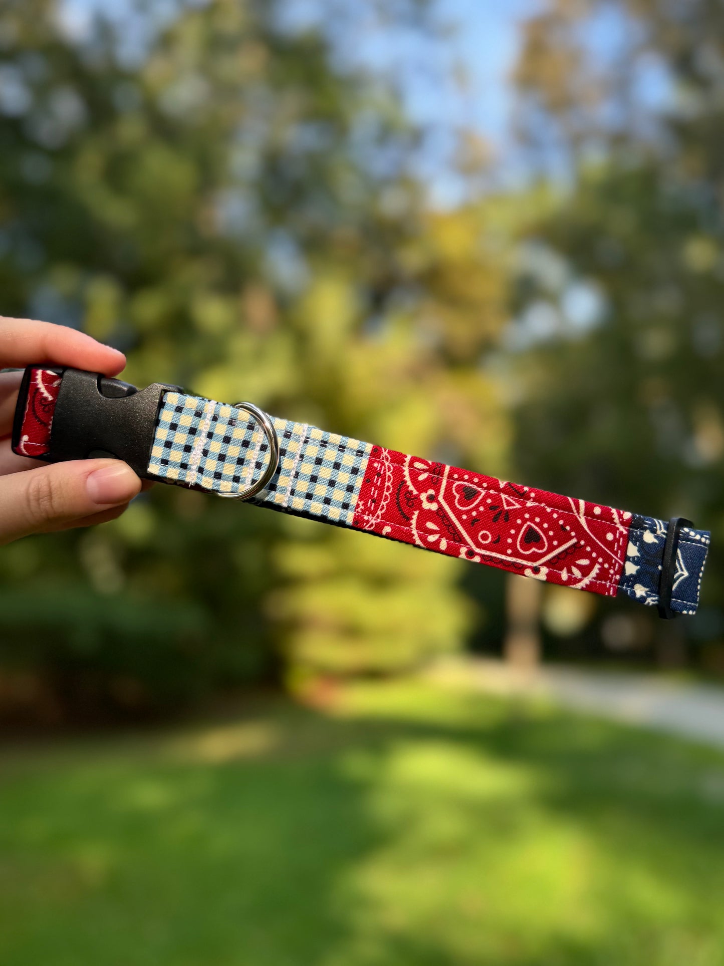 Southern Boy Large 1" Dog Collar