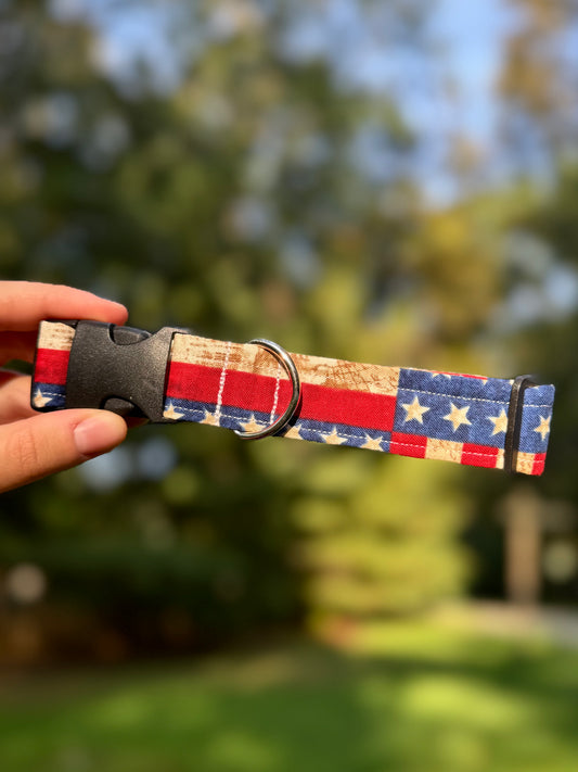 All American Medium 1" Dog Collar