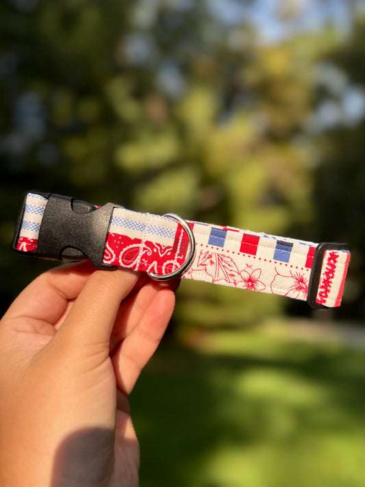 American Girl Medium 1" Dog Collar