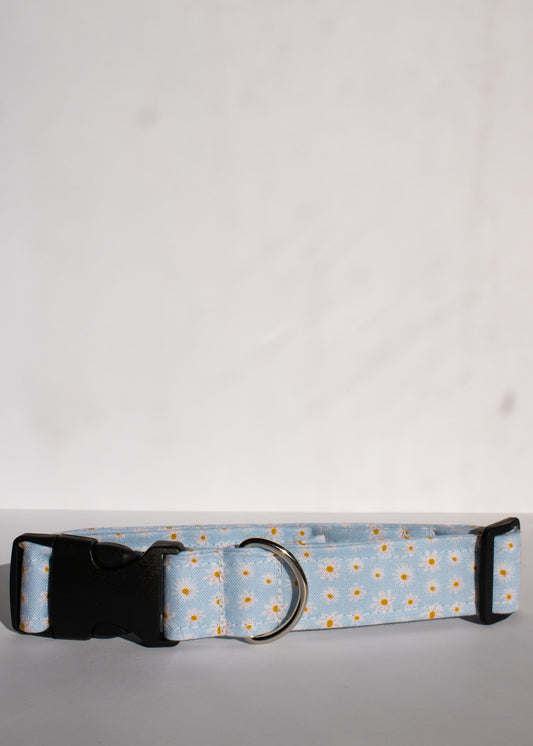 Blue Daisies Medium 1" Dog Collar