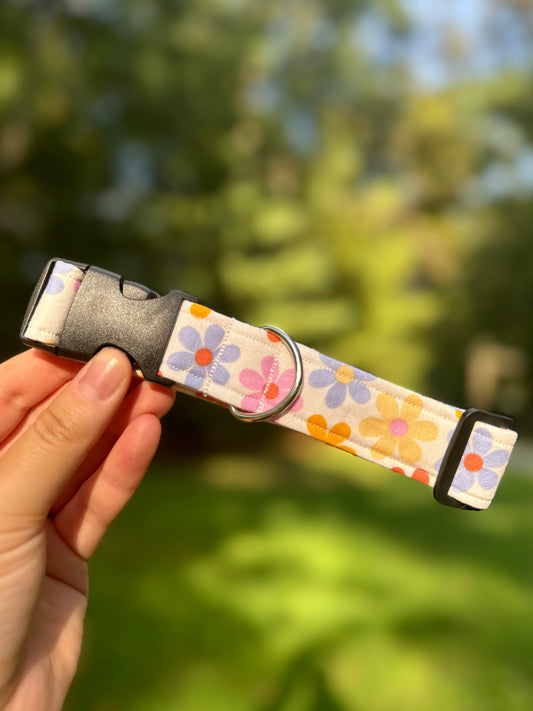 Flower Disco Medium 1" Dog Collar