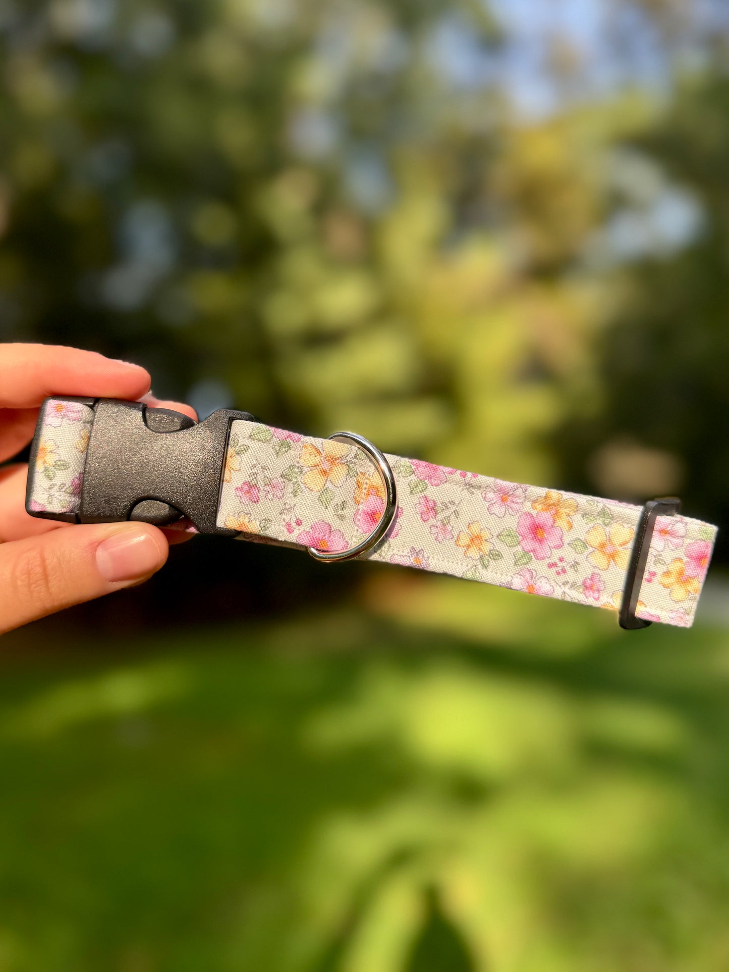 In Hawaii Medium 1" Dog Collar