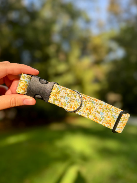 Screaming Spring Medium 1" Dog Collar