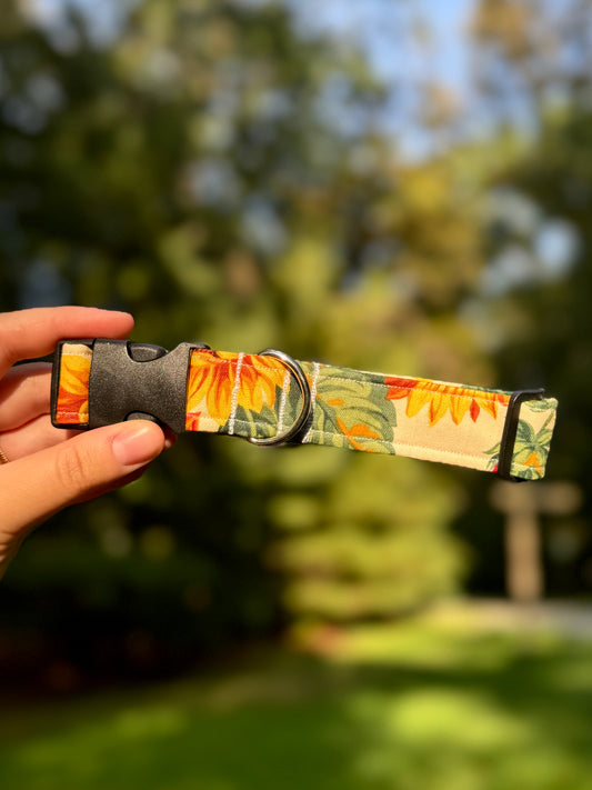 Sunflowers Medium 1" Dog Collar
