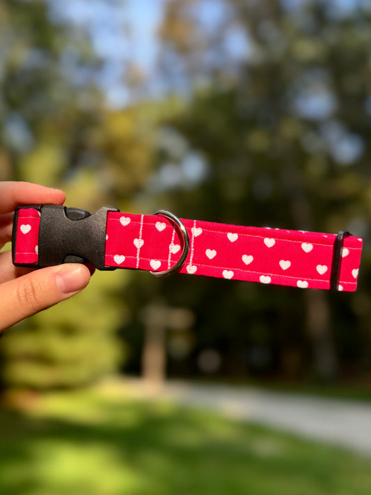 XOXO Medium 1" Dog Collar