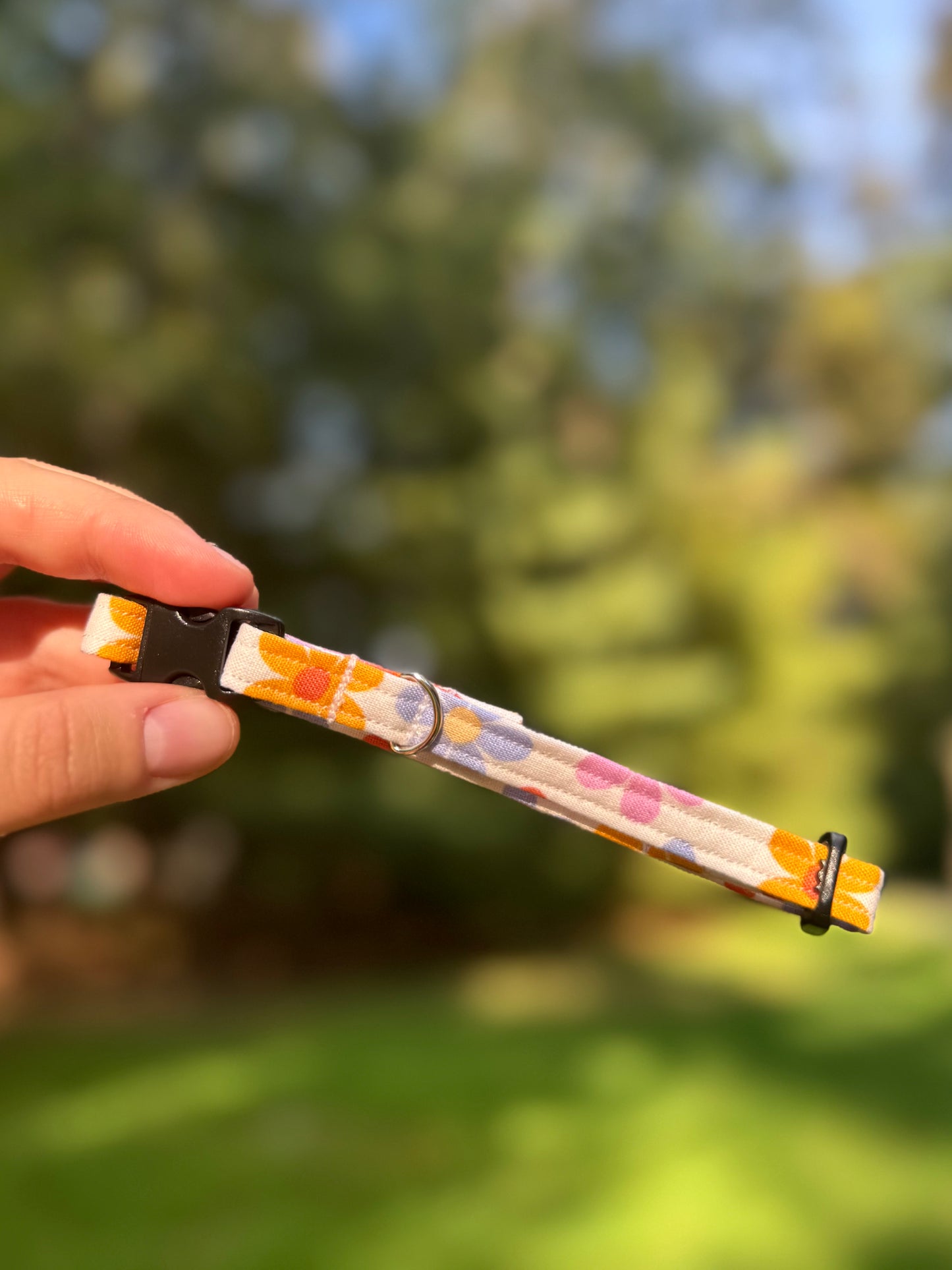 Flower Disco Small 3/8" Dog Collar
