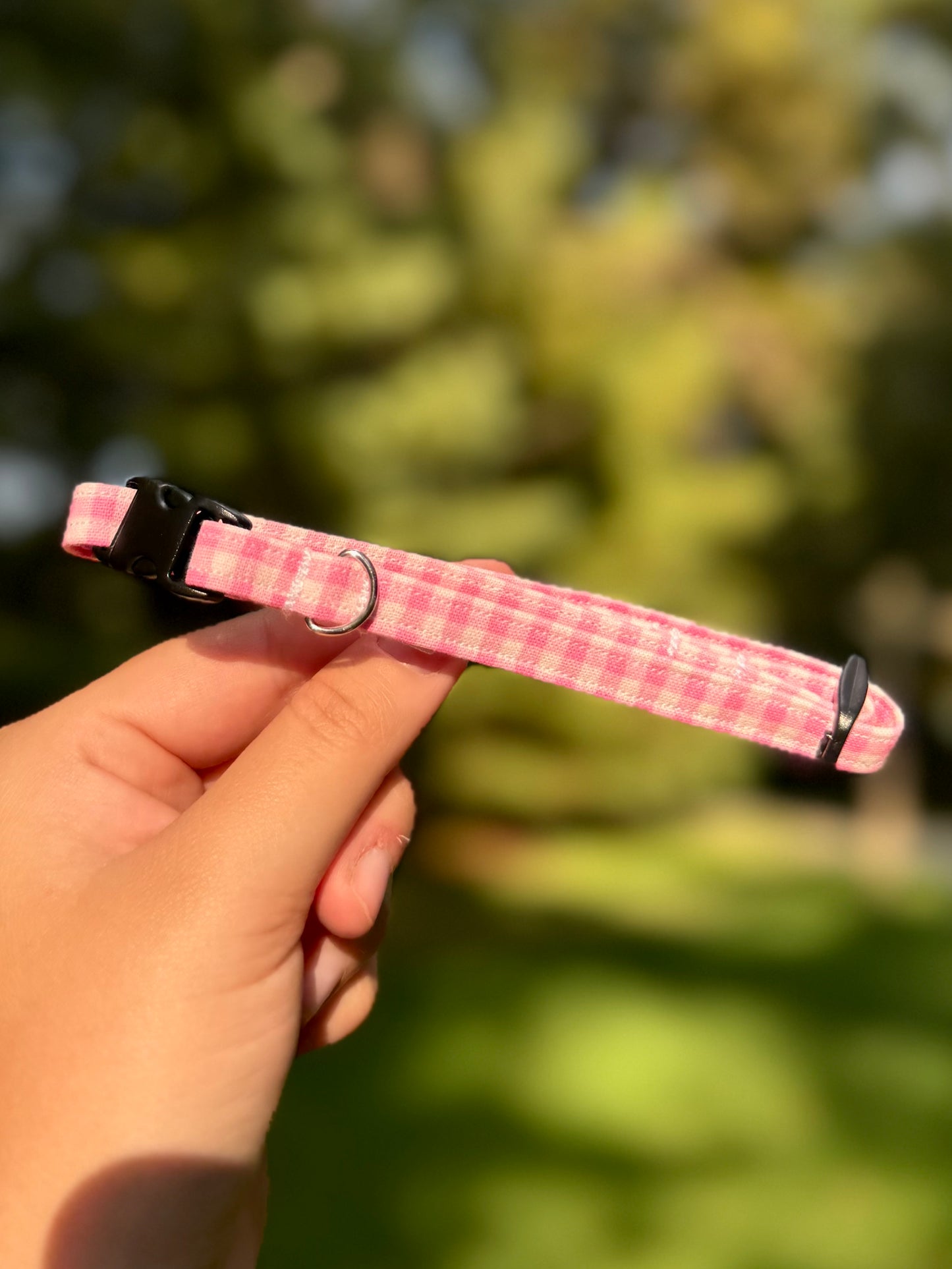Sweetheart Small 3/8" Dog Collar
