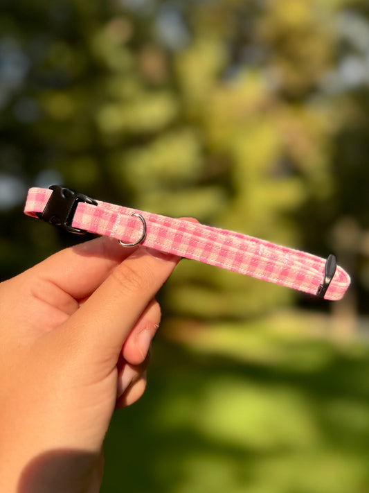 Sweetheart Small 3/8" Dog Collar