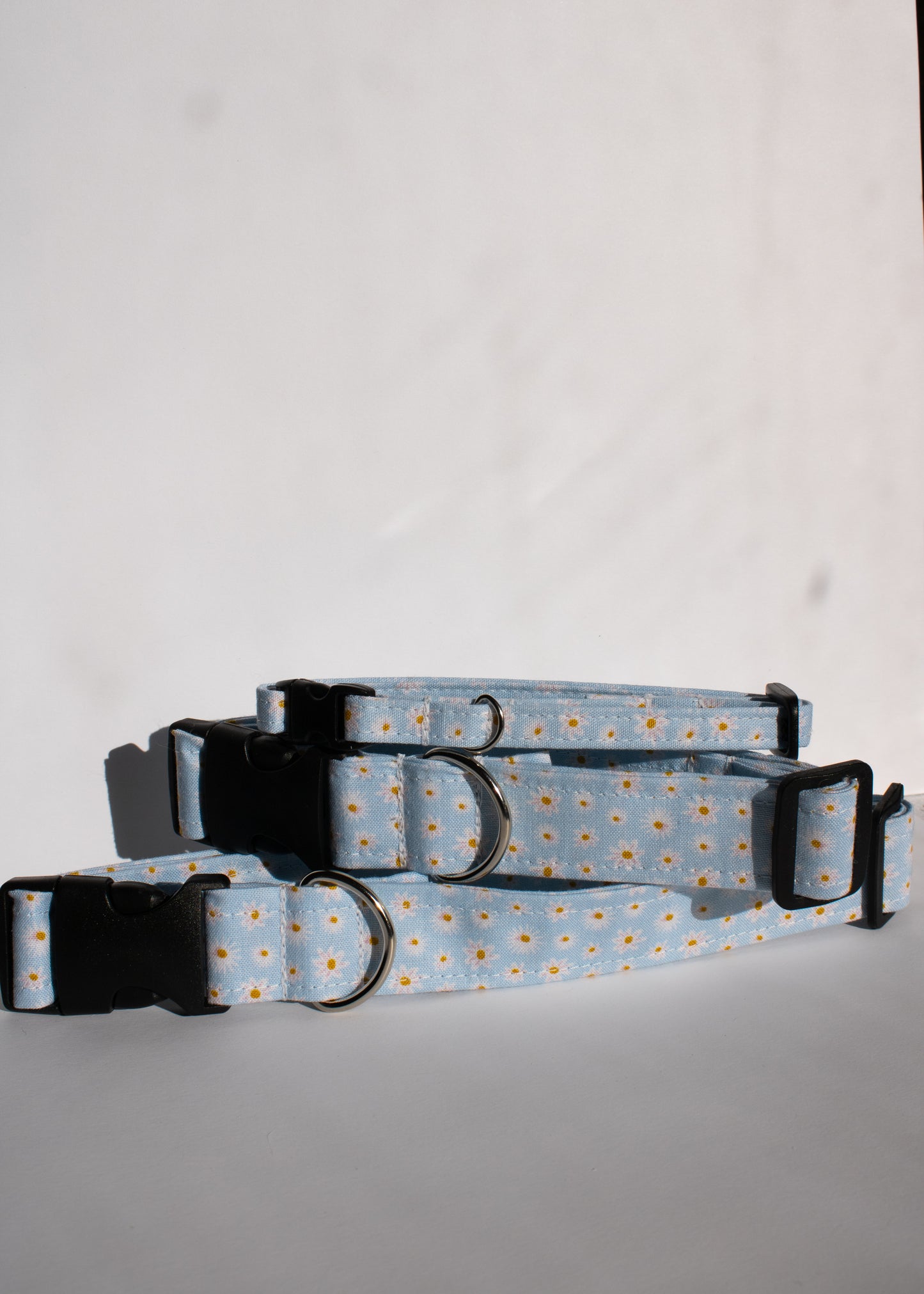Blue Daisies Medium 1" Dog Collar