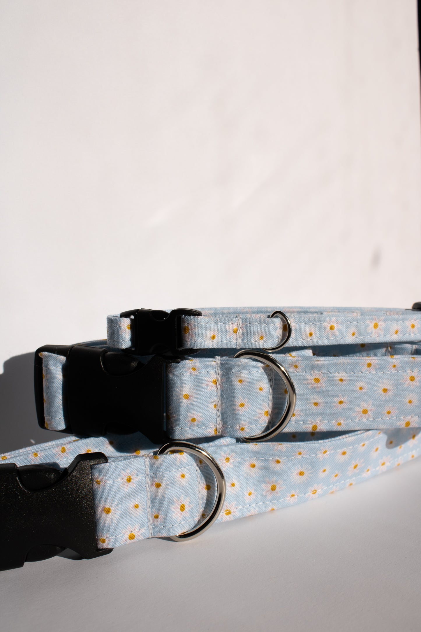 Blue Daisies Medium 1" Dog Collar